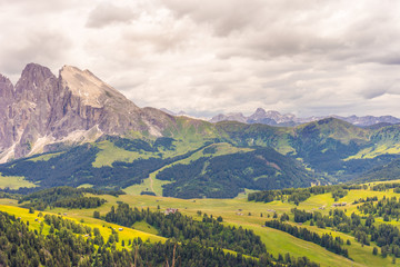 Fototapeta premium Alpe di Siusi, Seiser Alm with Sassolungo Langkofel Dolomite, a large green field with a mountain in the background
