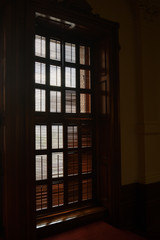 Texas State Captiol Window