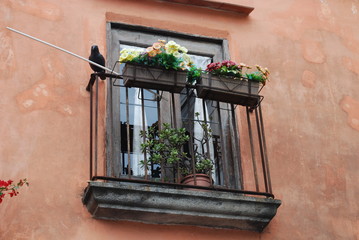Italien - Ischia - Balkon in Forio