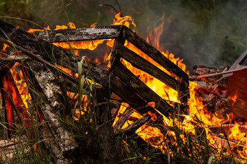 Burning down fire. Last embers and ashes