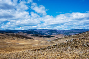 Wide steppe with yellow grass under a blue sky with white clouds Tazheran steppe, Siberia Russia