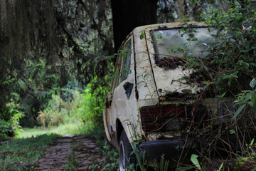 Fototapeta na wymiar car in the forest