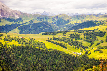 Alpe di Siusi, Seiser Alm with Sassolungo Langkofel Dolomite, a large green field with a mountain in the background