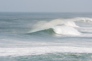 Fototapeta premium Waves in Portugal
