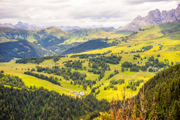 Alpe di Siusi, Seiser Alm with Sassolungo Langkofel Dolomite, a large green field with a mountain in the background