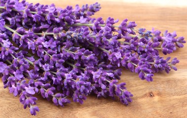 Bouquet of lavender.