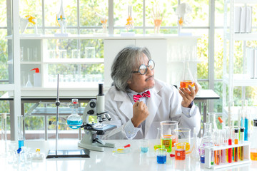 Professor research scientist preparing and analyzing pipetting solution into the glass in research...
