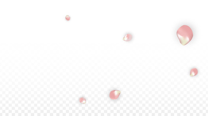 Vector Spring or Summer Sale Background with Petals and Percent for Template Design. Good for Special Hot Holiday Discount Offer, Black Friday, Fashion Promotion Action. Romantic Sakura Illustration