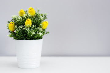 Flower pot with green plant and little yellow chicks and copy space