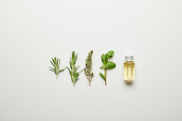 Top view of essential oil in bottle and fresh herbs on white background © LIGHTFIELD STUDIOS