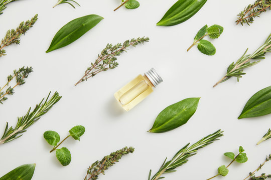 Flat lay with essential oil and fresh herbs on grey background