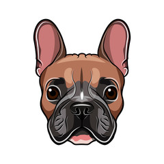 French bulldog head isolated on white