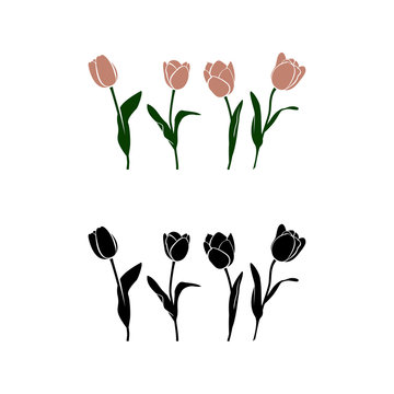 Vector simpleline art tulp
