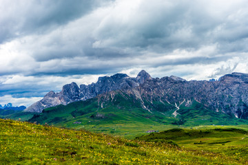 Alpe di Siusi, Seiser Alm with Sassolungo Langkofel Dolomite, a large green field with a mountain in the background