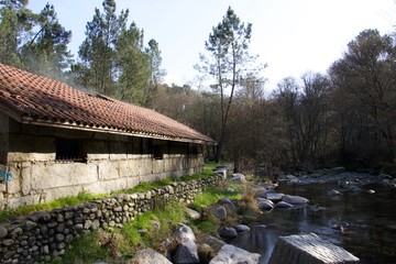 house by the river