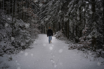 Junge geht im Winter in den Wald