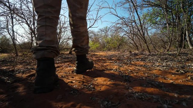 Medium, low following shot of African ranger's boots as he is tracking through bushes in sandy area in realtime