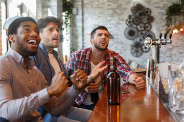 Soccer fans watching match and drinking beer