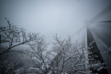 埼玉県　浦山ダムの雪景色