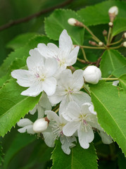 Beautiful and vibrantly colorful Flower Portraits and interesting and unusual gardens.