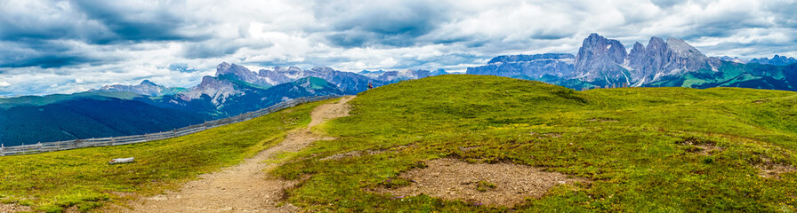 Fototapeta premium Alpe di Siusi, Seiser Alm with Sassolungo Langkofel Dolomite, a trekking walking winding path in a lush green field panorama