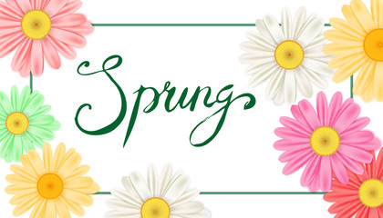 Spring banner. Hand drawn lettering. Background with chamomile, daisy. Spring Time template, flyer, posters, brochure. Happy spring Day. Fashionable styling. Flower vector isolated