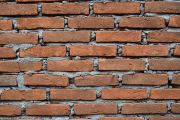 Obraz premium Brick wall Texture Background