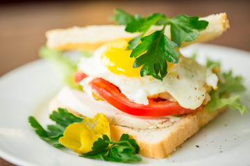 sandwich with tomato and baked egg