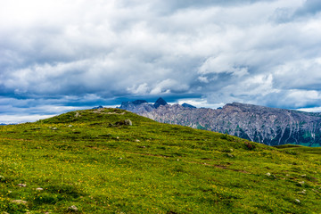 Fototapeta premium Alpe di Siusi, Seiser Alm z Sassolungo Langkofel Dolomite, duże zielone pole z górą w tle