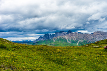 Alpe di Siusi, Seiser Alm with Sassolungo Langkofel Dolomite, a large green field with a mountain in the background
