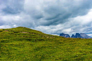 Alpe di Siusi, Seiser Alm with Sassolungo Langkofel Dolomite, a large green field with a mountain in the background