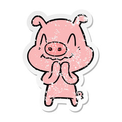 distressed sticker of a nervous cartoon pig