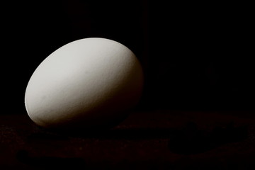 uovo con forte luce laterale