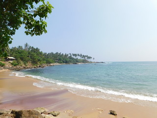 tropical beach and sea