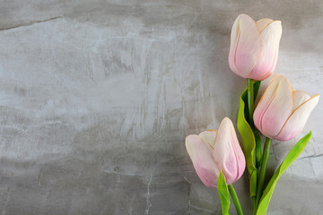 Three tulips in a bunch on the right hand side on a stone neutral tile background.  Plenty of copy space on left.