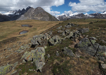 Auf dem Cuolm da Latsch, Parc Ela, Graubünden