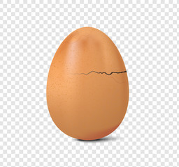 fresh chicken egg crack vector on transparency background, realistic broken egg illustration