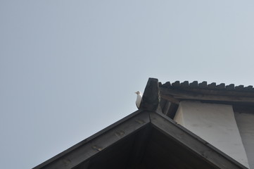 water, traditional, outdoor, wood, village, tourism, nature, green, old, wooden, travel, panorama, house, landscape, river, background, view, ancient, building, vintage, stone, spring, summer, communi