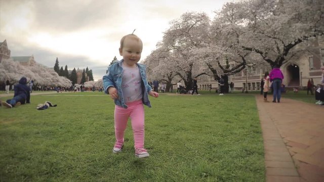 Adorable Little Girl Running by Washington University Cherry Blossom Trees