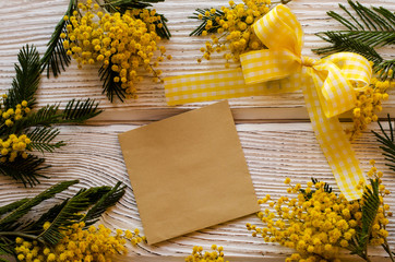 Beautiful Mimosa flower on a wooden backgraund. - Image