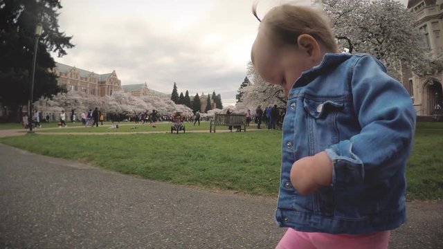 Cute Toddler Running at University of Washington