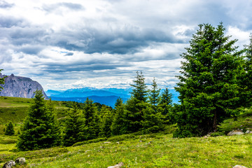 Alpe di Siusi, Seiser Alm with Sassolungo Langkofel Dolomite, a close up of a lush green field in a valley canyon