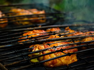 Barbecue for the poor. Departure on the nature of kebabs. Roasted meat on the fire. Meat on the fire.