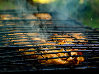Barbecue for the poor. Departure on the nature of kebabs. Roasted meat on the fire. Meat on the fire.