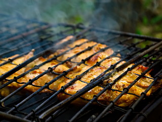 Barbecue for the poor. Departure on the nature of kebabs. Roasted meat on the fire. Meat on the fire.