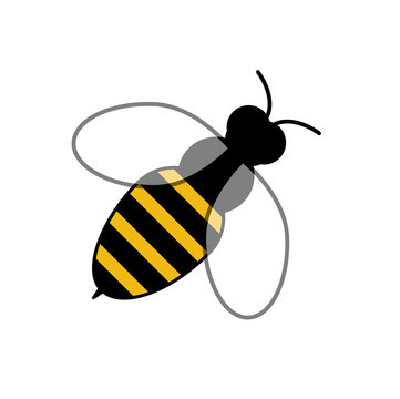 Bee / Abeille