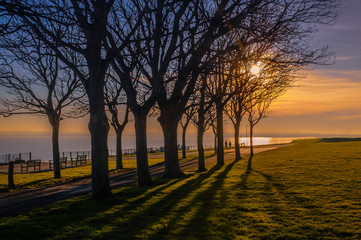Fototapeta na wymiar long shadows formed by the impressive trees on Ramsgate Royal Esplanade at sunset on a winter day as a couple walk along the cliff top promenade