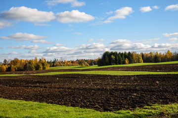 green cultivated fields in countryside
