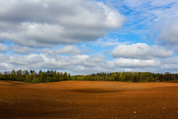 Obraz premium green cultivated fields in countryside