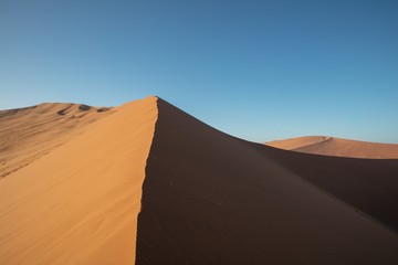 Fototapeta na wymiar Dunes and Trees at Sossusvlei National Park, Namibia 